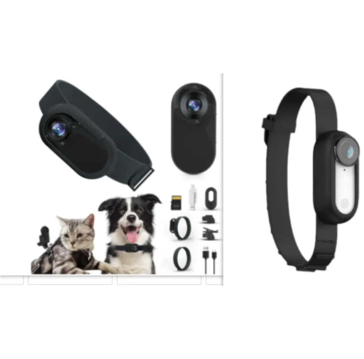 Pet View Cam Collar