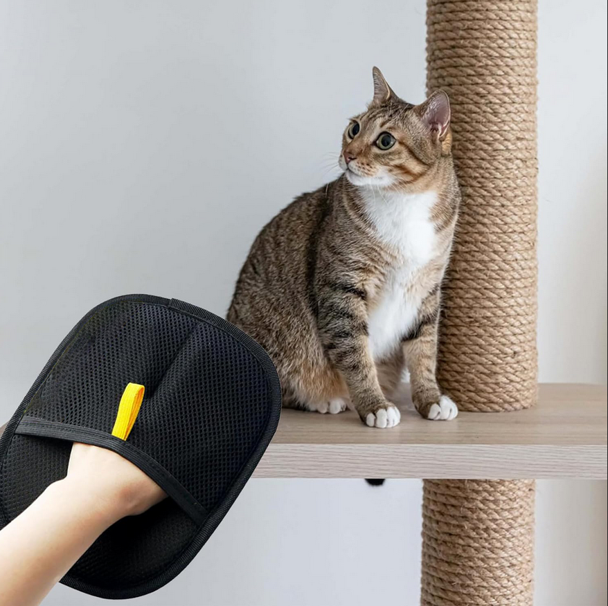 Fur-Free Pet Grooming Gloves
